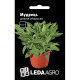 Насіння Шавлія лікарська Мудрець 0,4 г LedaAgro