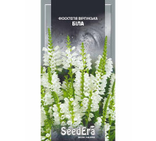 Насіння Фізостегія віргінська біла багаторічна 0,1 г Seedera