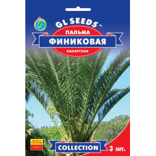 Пальма Финиковая 3 сем