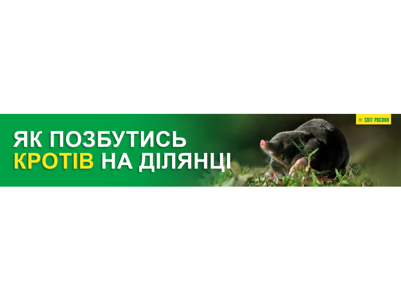Як позбутись кротів на ділянці