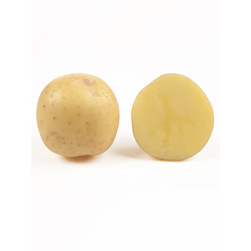 Картопля Електра 1 кг (1 репродукція), фракція 40-60
