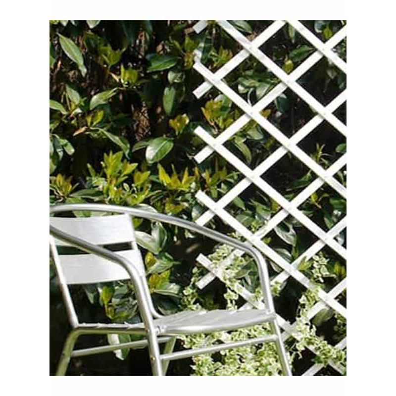 Шпалера садова декоративна Trellis 2 1,0 м х2,0 м Білий