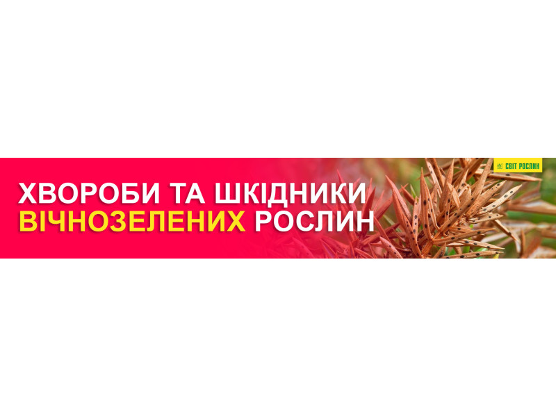 Хвороби та шкідники вічнозелених рослин