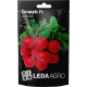 Насіння Редис Соляріс 2 г LedaAgro