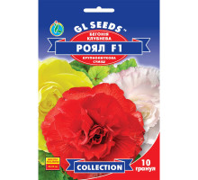 Насіння Бегонія Роял F1 суміш великоквіткова 10 нас GL Seeds