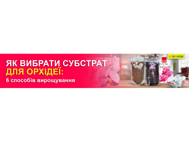 Як вибрати субстрат для орхідеї: 6 способів вирощування