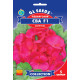 Семена Пеларгония зональная Ева F1 5 семян GL Seeds