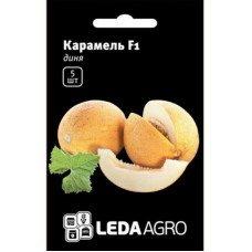 Насіння дині Карамель F1 5 нас LedaAgro