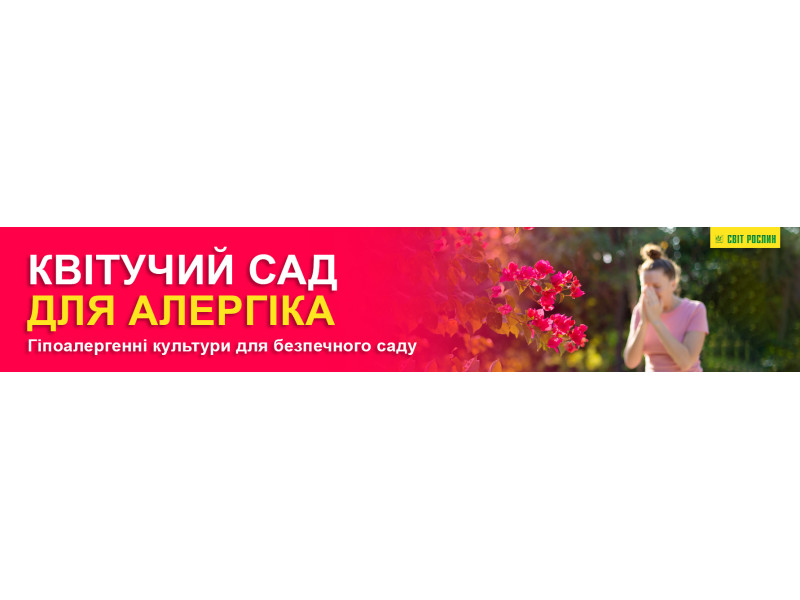 Квітучий сад для алергіка. Гіпоалергенні культури для безпечного саду