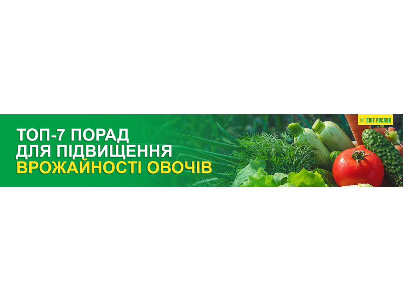 Топ-7 порад для підвищення врожайності овочів