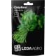 Насіння Коріандр Слоуболт 2 г LedaAgro