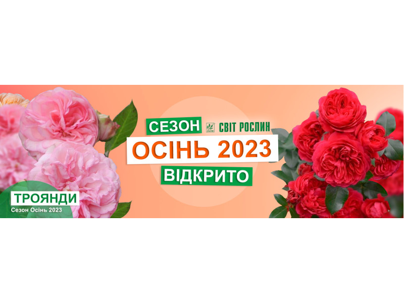 Трояндова осінь — старт сезону 2023