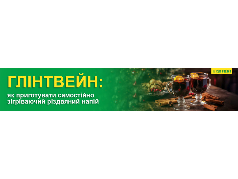 Глінтвейн - як приготувати самостійно зігріваючий різдвяний напій