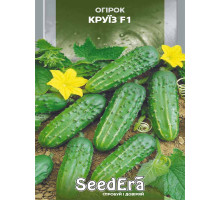 Насіння Огірок Круїз 0,5 г Seedera