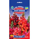 Насіння Ротики (Левиний зев) Жар кохання  GL Seeds 0,25 г