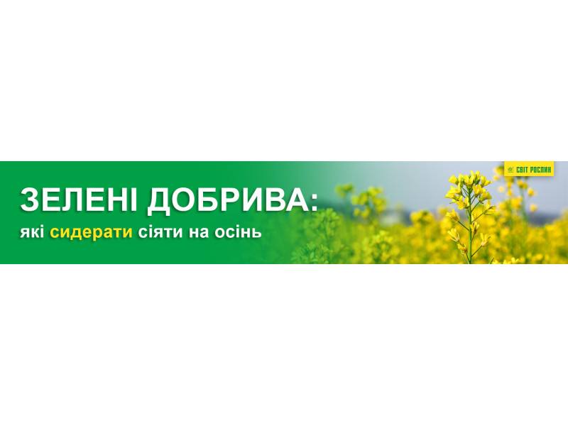 Зелені добрива. Які сидерати сіяти на осінь