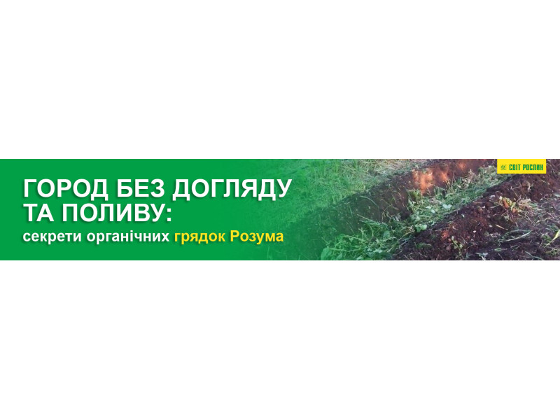 Город без догляду та поливу: секрети органічних грядок Розума
