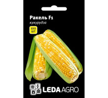 Насіння Кукурудза Ракель F1 100 насінин LedaAgro