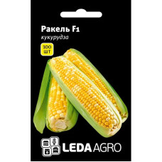 Насіння Кукурудза Ракель F1 100 насінин LedaAgro