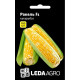 Насіння Кукурудза Ракель F1 100 насінин LedaAgro