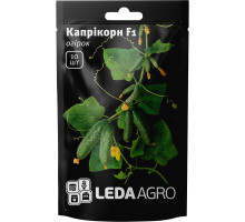 Насіння Огірок Капрікорн F1 букетний 10 шт LedaAgro