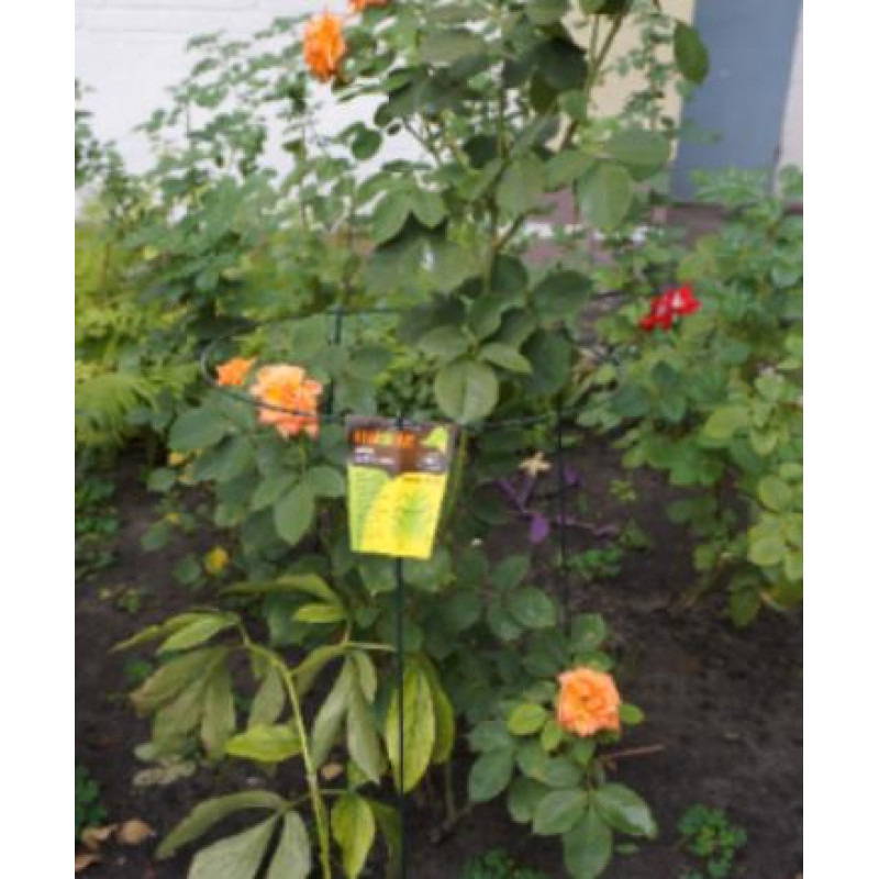 Опора для растений ORANGERIE Ri 4-600-200