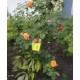 Опора для растений ORANGERIE Ri 4-600-200