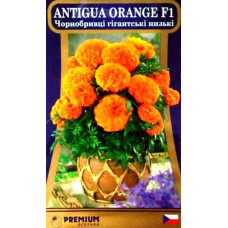 Семена чернобрывцев Antigua Orange F1 5 семян
