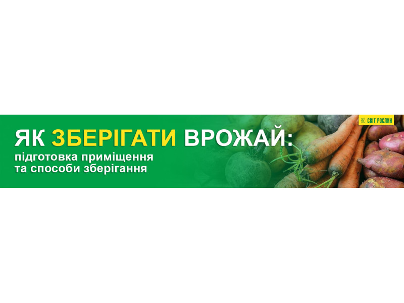 Як зберігати врожай: підготовка приміщення та способи зберігання