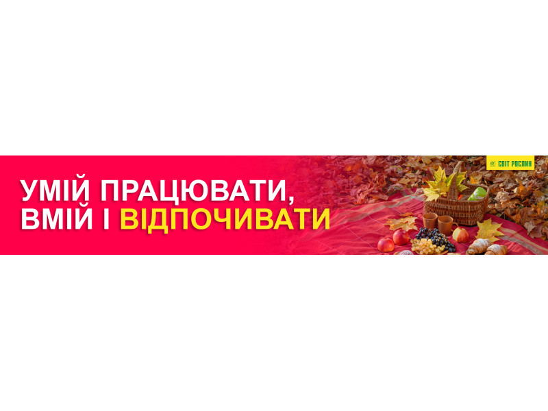 Умій працювати, вмій і відпочивати