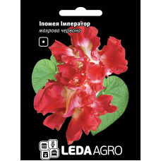 Насіння Іпомея Імператор махрова червона 0,2 г LedaAgro