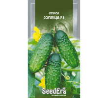 Насіння Огірок Сопліца 5 г Seedera