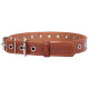 Нашийник CoLLar безрозмірний 01516