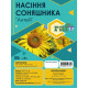 Насіння Соняшнику Антей 50 г