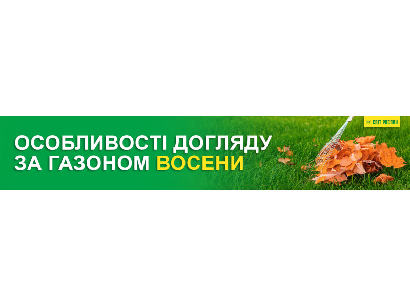 Особливості догляду за газоном восени