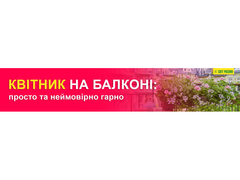 Квітник на балконі: просто та неймовірно гарно
