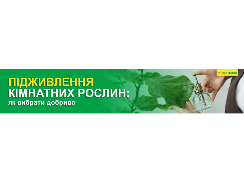 Підживлення кімнатних рослин: як вибрати добриво