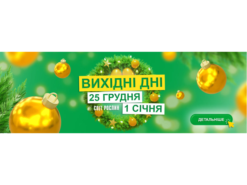Графік роботи на Різдвяні свята