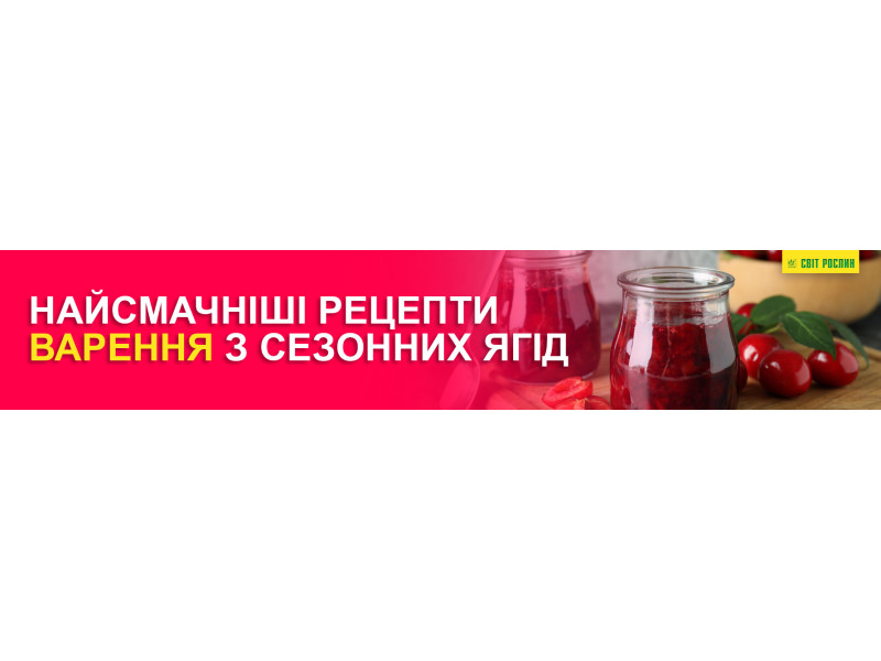 Найсмачніші рецепти варення з сезонних ягід