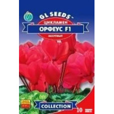 Цикломен Орфеус 10 шт