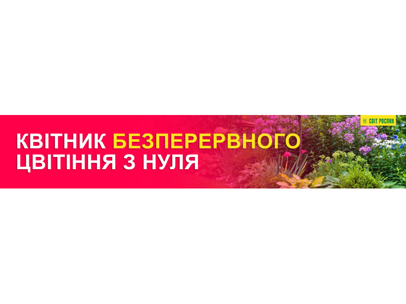 Квітник безперервного цвітіння з нуля