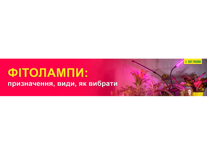 Фітолампи: призначення, види, як вибрати
