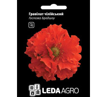 Насіння Гравілат чилійський Госпожа Бредшоу 0,1 гр LedaAgro