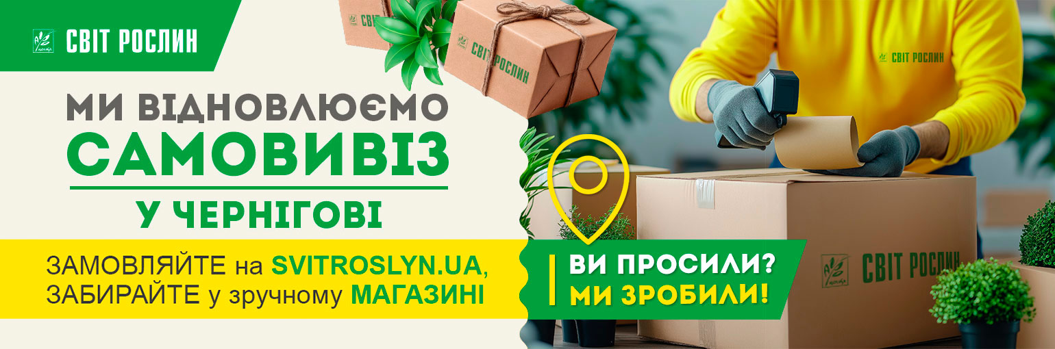 Відновлюємо самовивіз у Чернігові