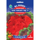 Семена Пеларгония Блэк Вельвет Ред F1 5 семян GL Seeds