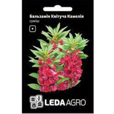Насіння Бальзамін Квітуча Камелія суміш 0,5 г LedaAgro