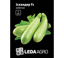 Насіння Кабачок Іскандер F1 5 шт LedaAgro