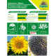 Насіння Соняшнику Меркурій ІМІ Економ 150 000 сем