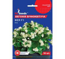 Насіння Бегонія Фея біла 10 нас GL Seeds 