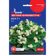 Насіння Бегонія Фея біла 10 нас GL Seeds 